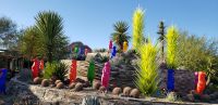 PICTURES/Desert Botanical Gardens - Wild Rising Cracking Art/t_Merecats6.jpg